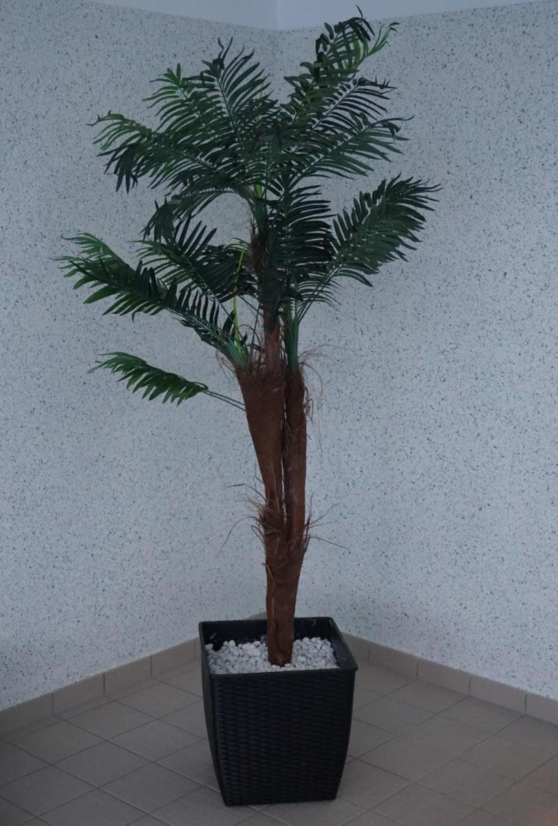 比苏姆Residenz Rosengrund Whg O3公寓 外观 照片